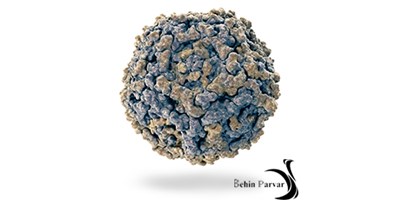 کوچک اما قدرتمند: پاروویروس در شترمرغ